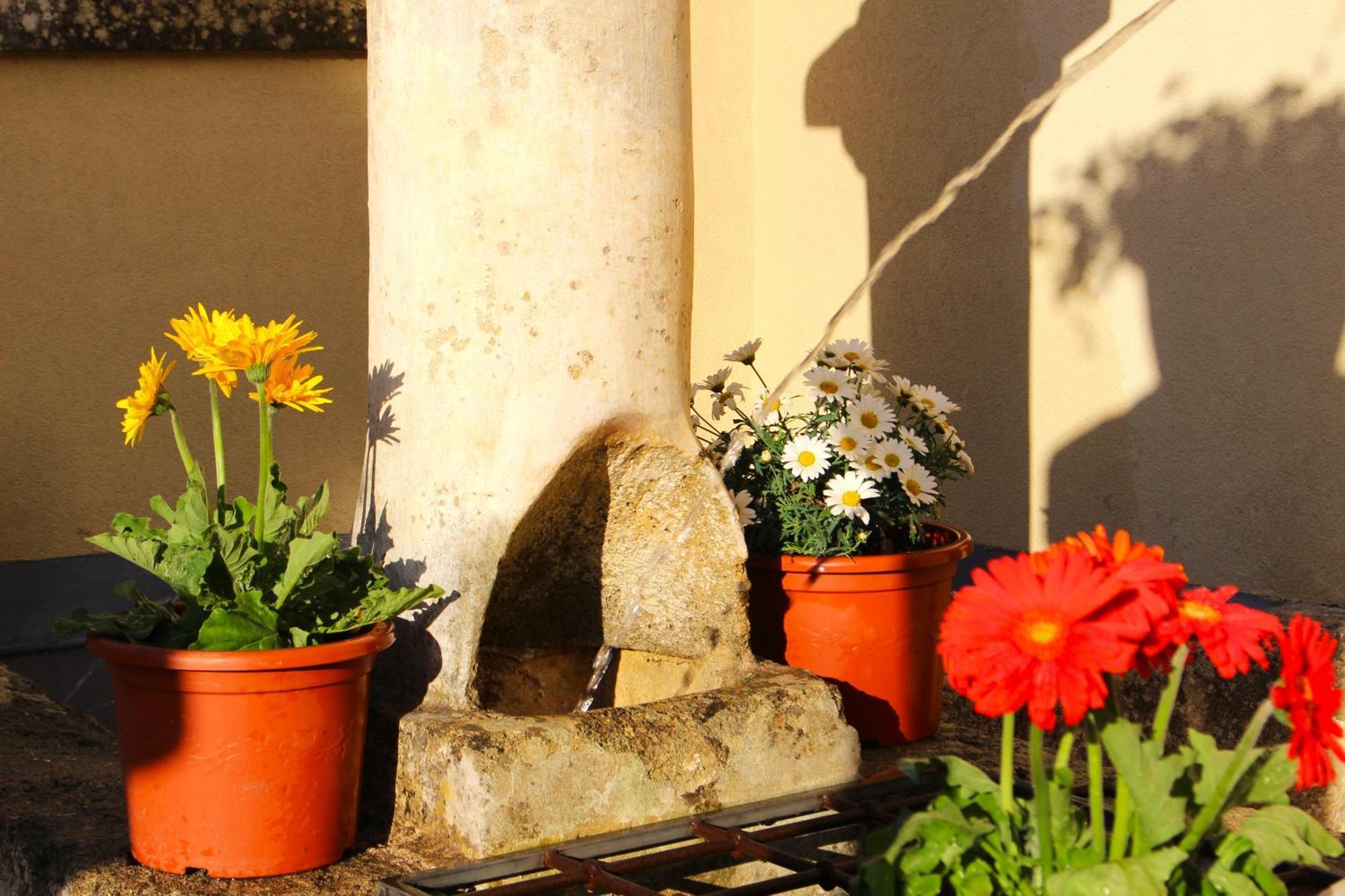 Bed and Breakfast Palazzo Aurora Alezio Exterior foto